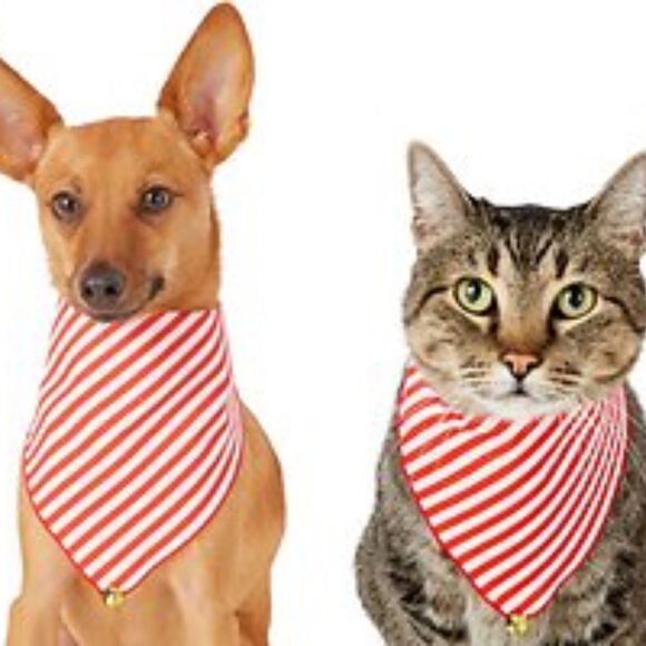 Pup Crew Pet Bandana Cat Dog Christmas Red White Candy Cane Striped Bell XS-S - Picture 1 of 6